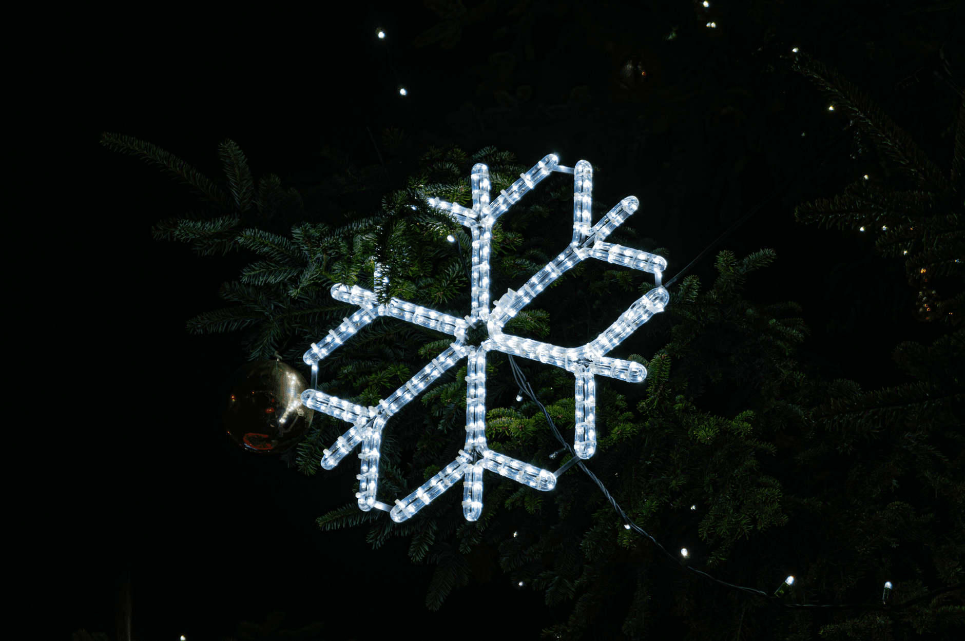 Natal em Holambra 2026: quando é e o que tem no Natal by Expoflora?