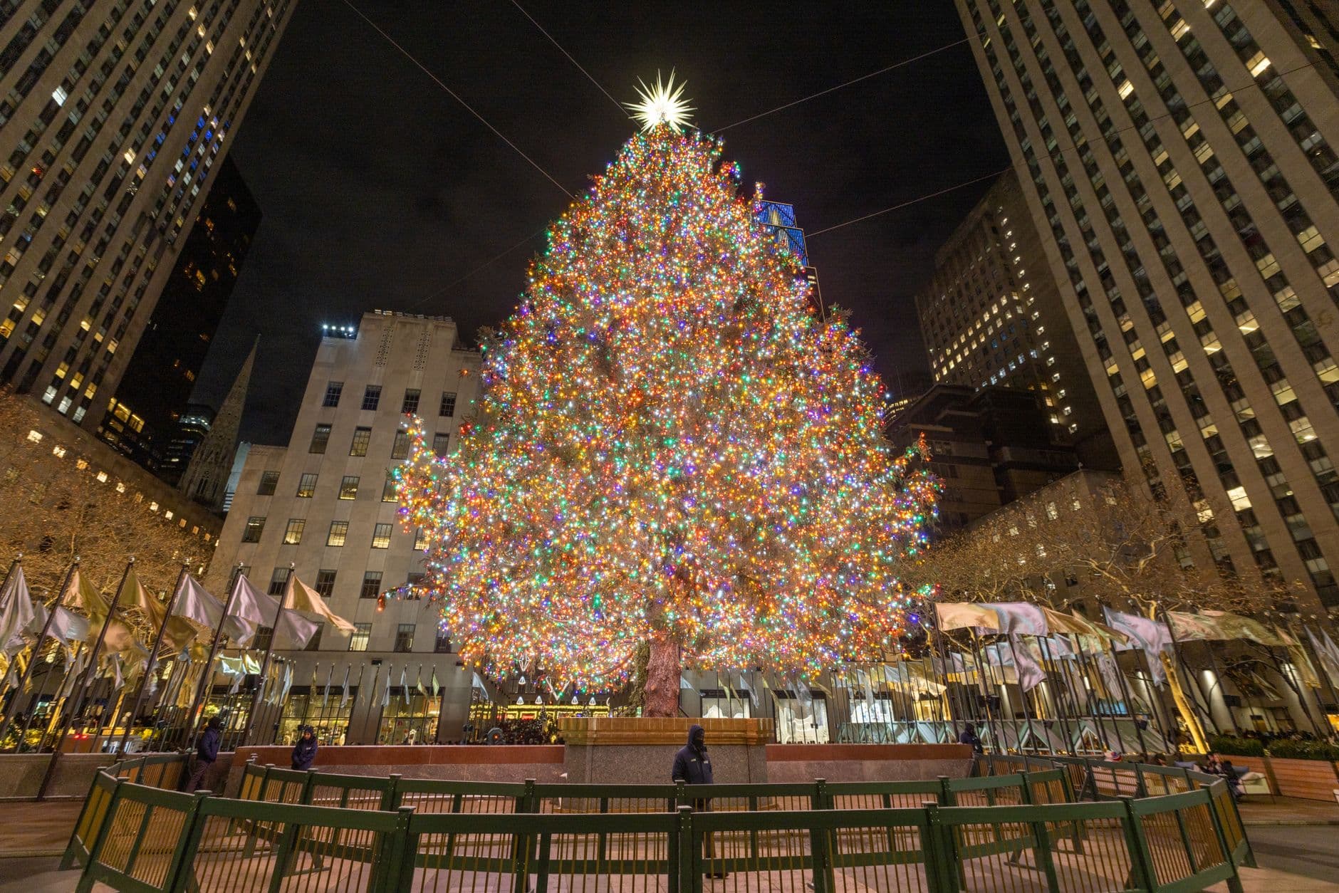 Quando a árvore de Natal do Rockefeller Center chega e acende em 2026?