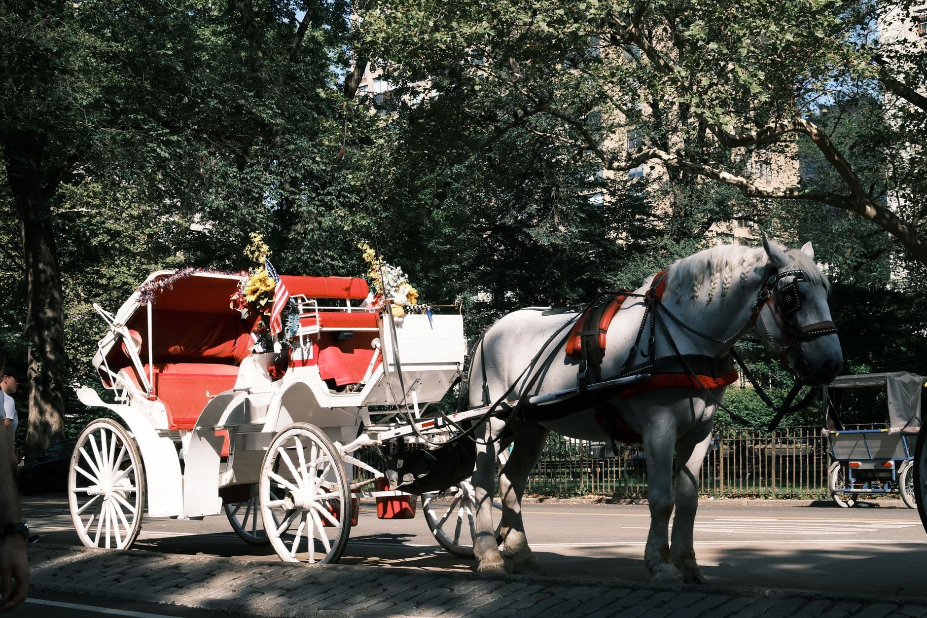 Nova York proibiu as carruagens do Central Park? O que muda